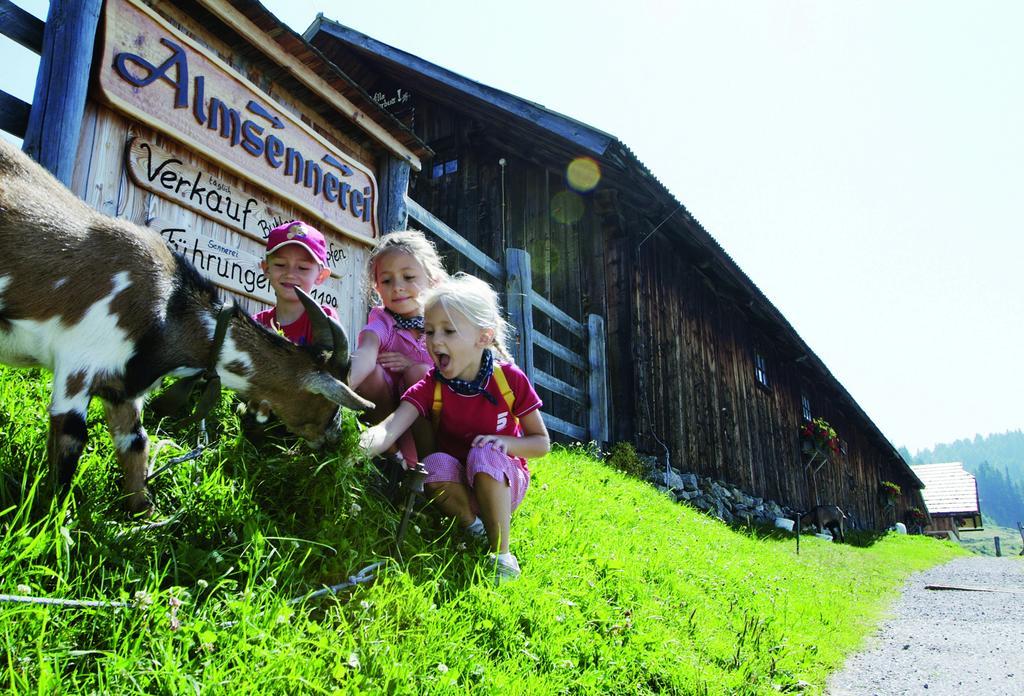 Familienhotel Steindl Millstatt Exterior photo